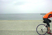 20090411_01.jpg