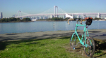 DSC00203.jpg