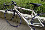 DSC00328.jpg